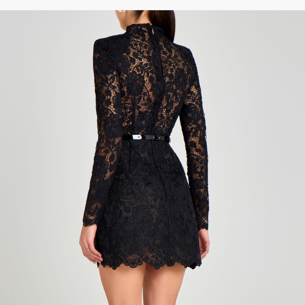 Nadine Merabi Addison Long Sleeve Lace Overlay Cocktail Minidress in size 6 NWT - Picture 3 of 11